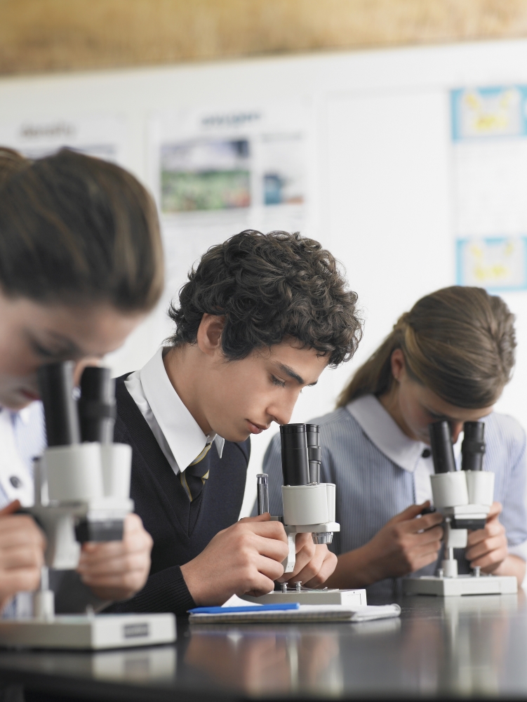 High school students using inexpensive dissecting microscopes