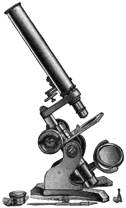 Early microscope